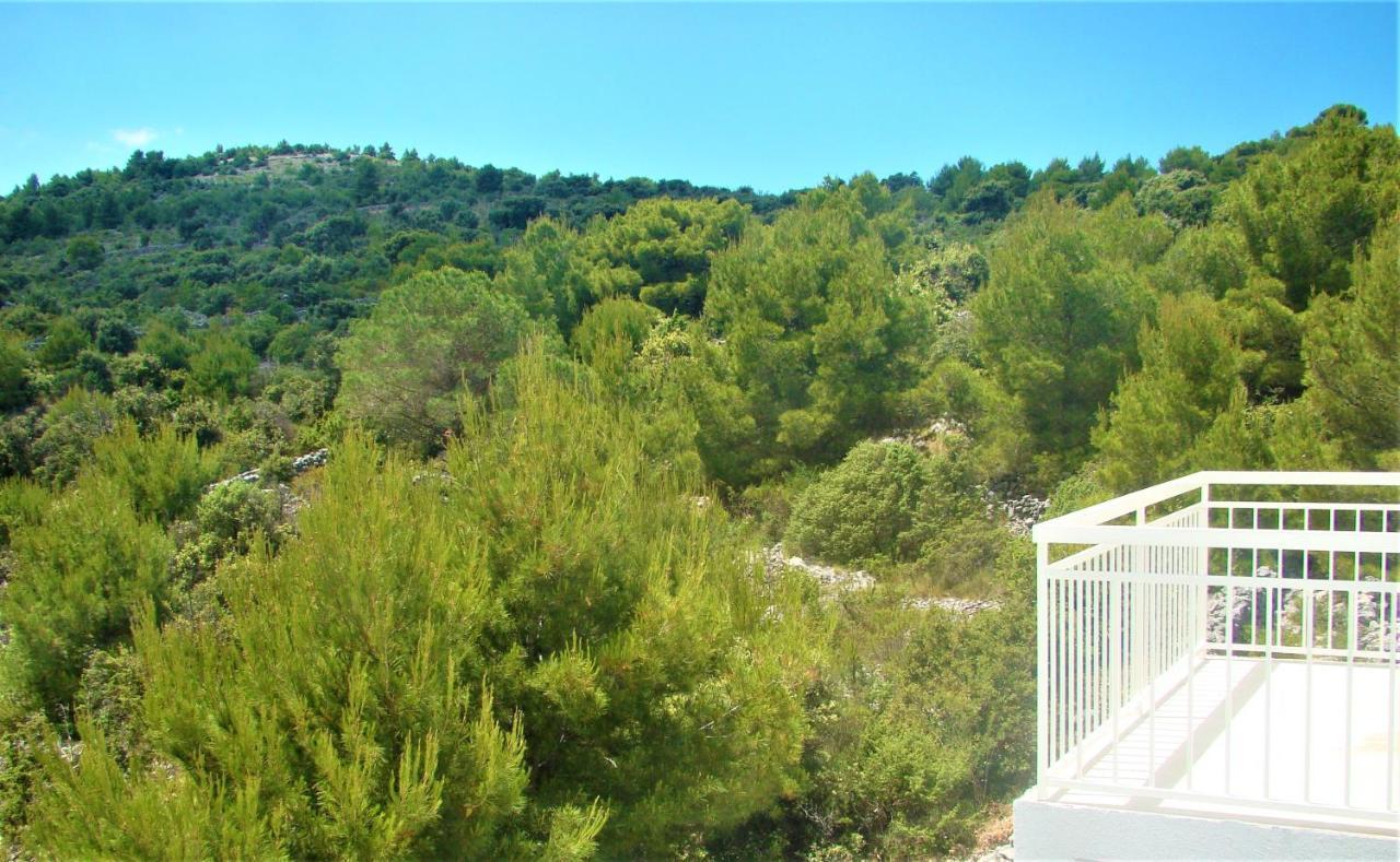 Villa Sena Ražanj المظهر الخارجي الصورة
